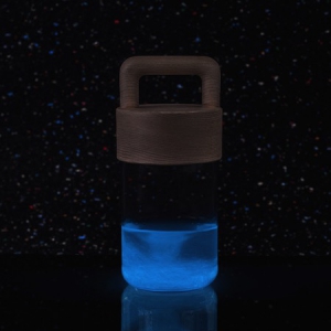 夜晚自動(dòng)發(fā)光的生物電燈